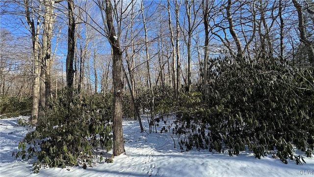 view of snow covered land