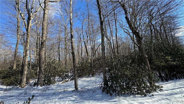 view of snow covered land