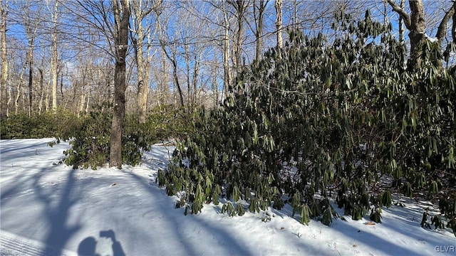 view of yard covered in snow