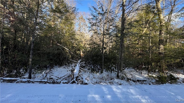 Driftwood Dr, Kidder Township S, PA 18210 - photo 1