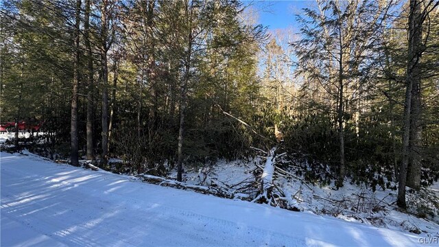 Driftwood Dr, Kidder Township S, PA 18210 - photo 3