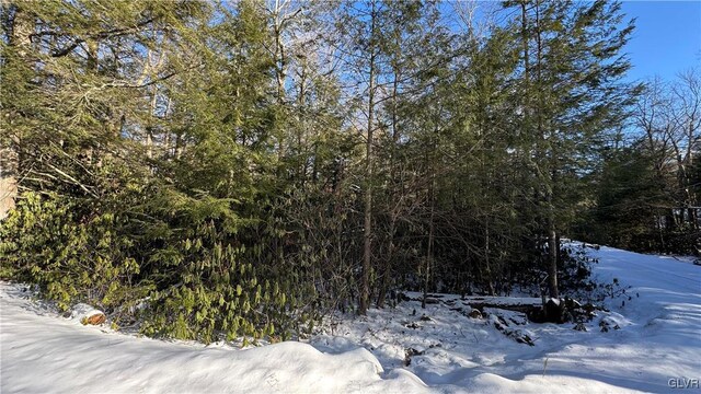 Driftwood Dr, Kidder Township S, PA 18210 - photo 4