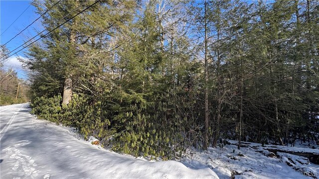 Driftwood Dr, Kidder Township S, PA 18210 - photo 5