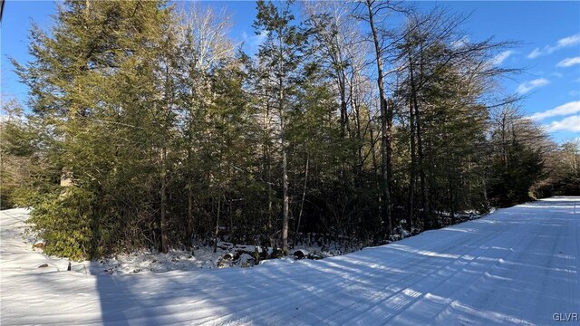 Driftwood Dr, Kidder Township S, PA 18210 - photo 6