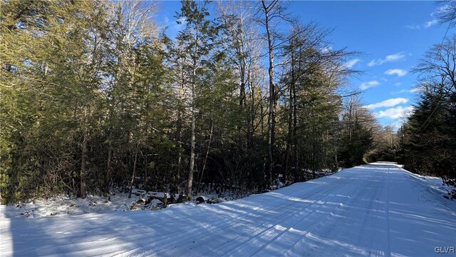 Driftwood Dr, Kidder Township S, PA 18210 - photo 7