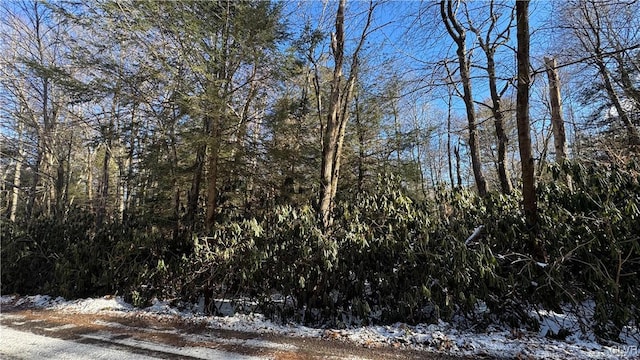 view of snowy landscape