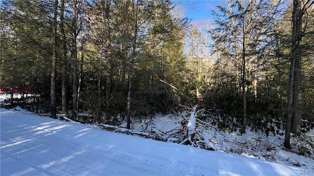 view of snowy landscape