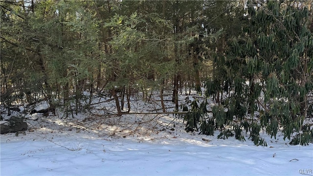 view of snow covered land