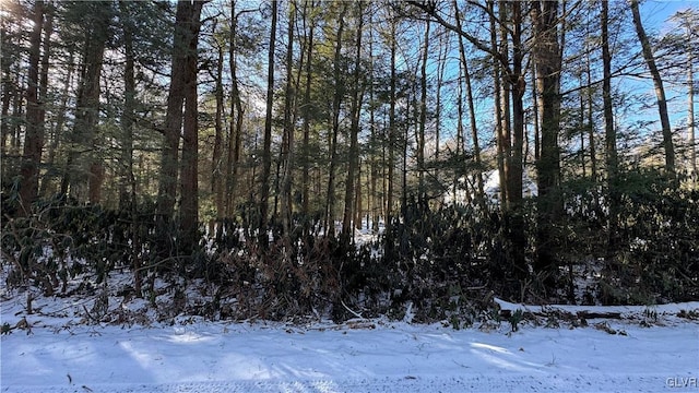 view of snow covered land