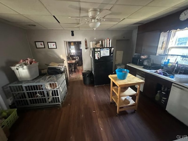 interior space with a drop ceiling, dark wood-type flooring, black appliances, sink, and ceiling fan