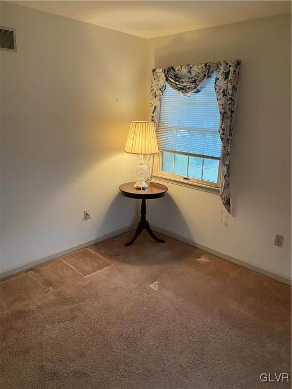 interior space with carpet floors