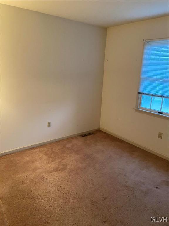 spare room with carpet