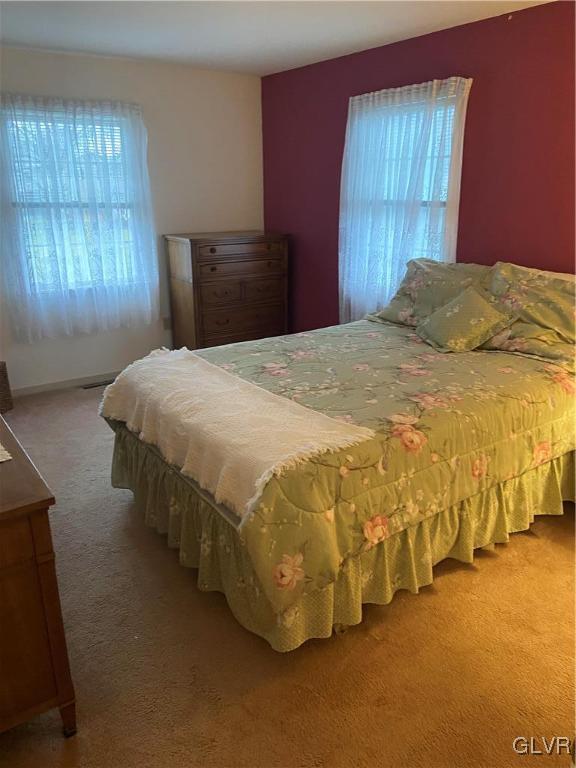 bedroom featuring carpet and multiple windows