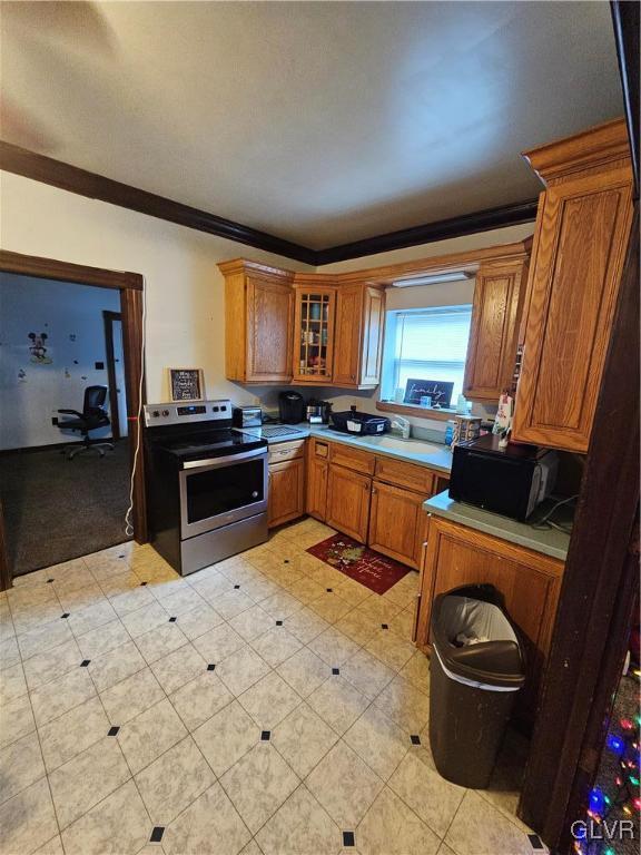 kitchen featuring ornamental molding and stainless steel electric range