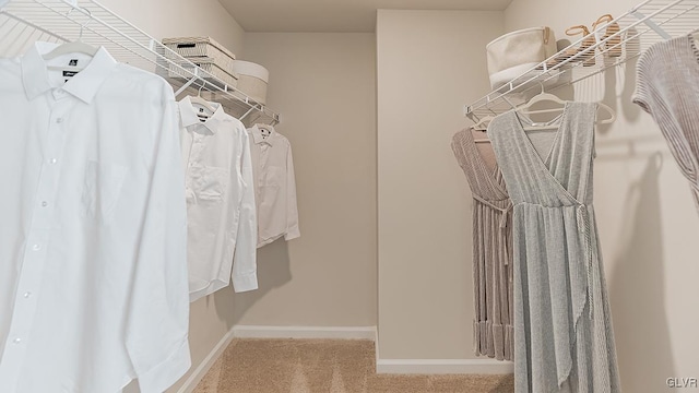 walk in closet featuring light colored carpet