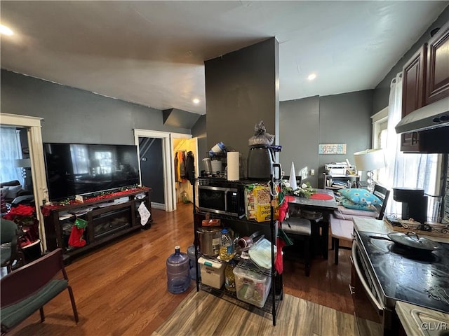 living room with wood-type flooring