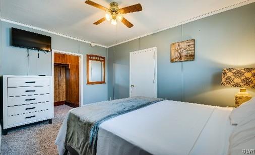 bedroom featuring ceiling fan and carpet floors