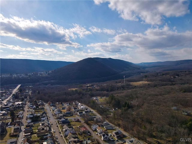 view of mountain feature