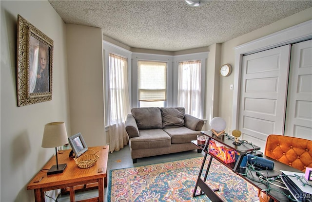 living room featuring a textured ceiling