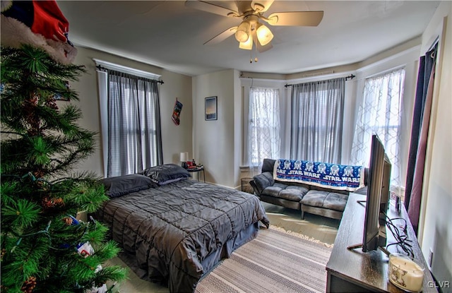 bedroom with ceiling fan