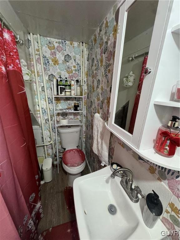 bathroom with hardwood / wood-style floors, toilet, and sink