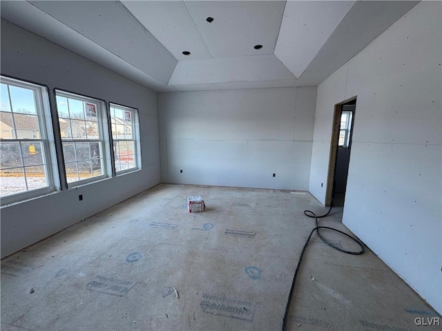 spare room with a raised ceiling and a healthy amount of sunlight