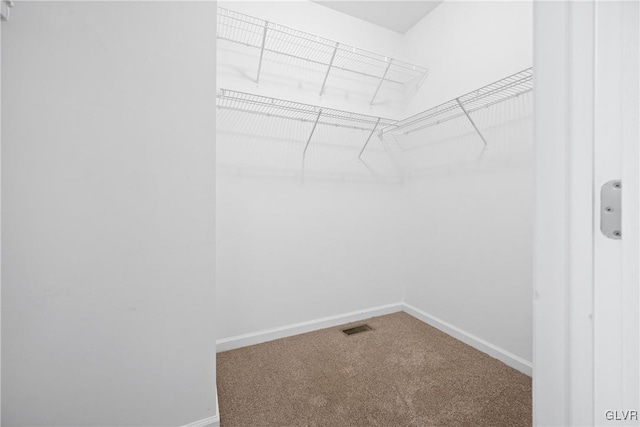 walk in closet with carpet floors