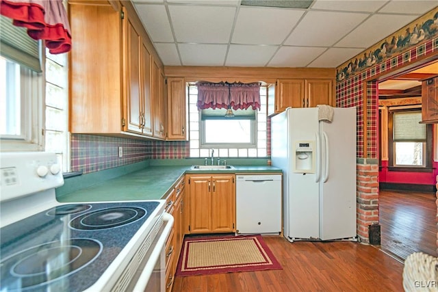 kitchen with white appliances, hardwood / wood-style flooring, a wealth of natural light, and sink