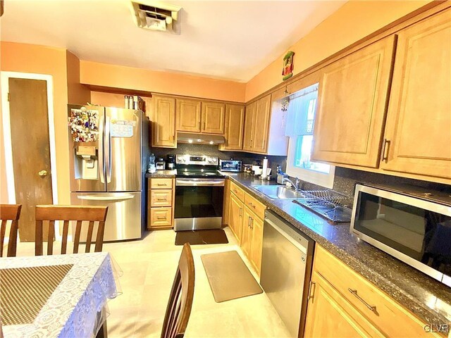 kitchen featuring backsplash, sink, and appliances with stainless steel finishes