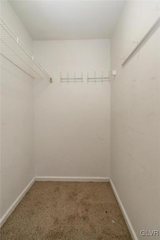 walk in closet with carpet flooring