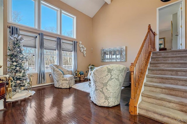 sitting room with high vaulted ceiling, a healthy amount of sunlight, and wood-type flooring