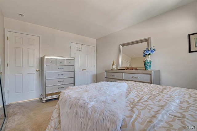 bedroom featuring carpet flooring and a closet