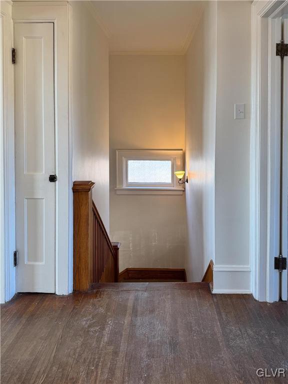 stairs featuring wood-type flooring