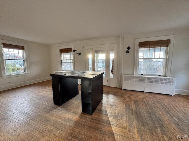 kitchen featuring a wealth of natural light, a center island, and radiator