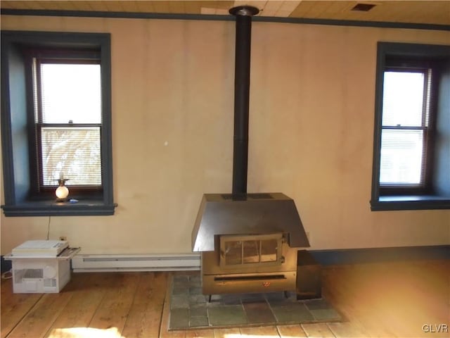 details featuring baseboard heating, a wood stove, and wood-type flooring