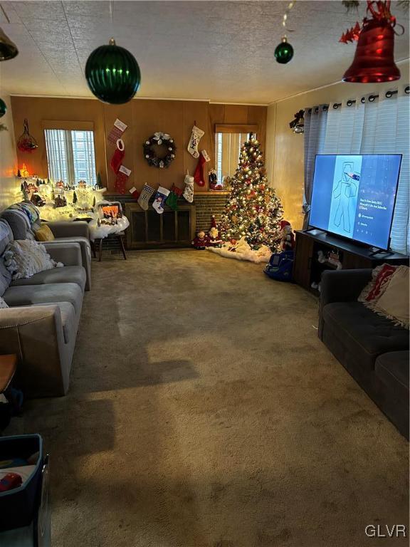 living room with carpet, a textured ceiling, and wooden walls