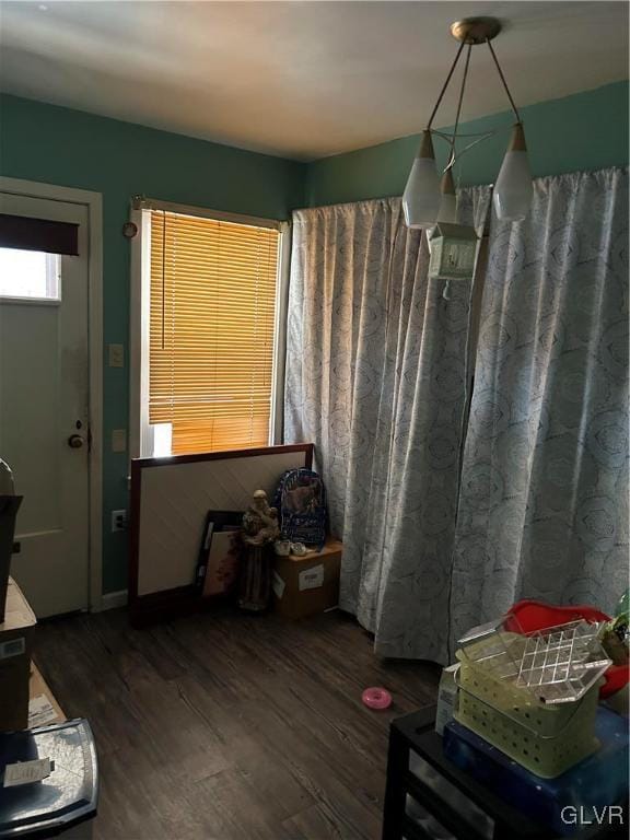 interior space with dark hardwood / wood-style flooring