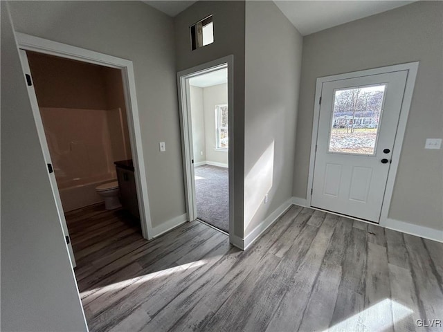 foyer entrance with light wood-type flooring and a wealth of natural light