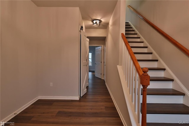 staircase with hardwood / wood-style flooring