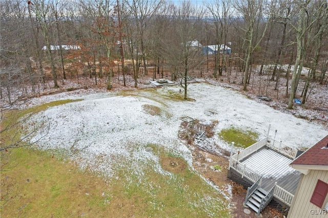 view of yard covered in snow