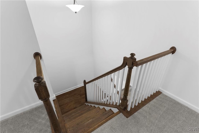 staircase featuring carpet flooring