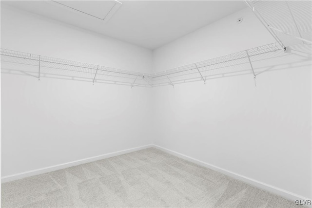 walk in closet with light colored carpet