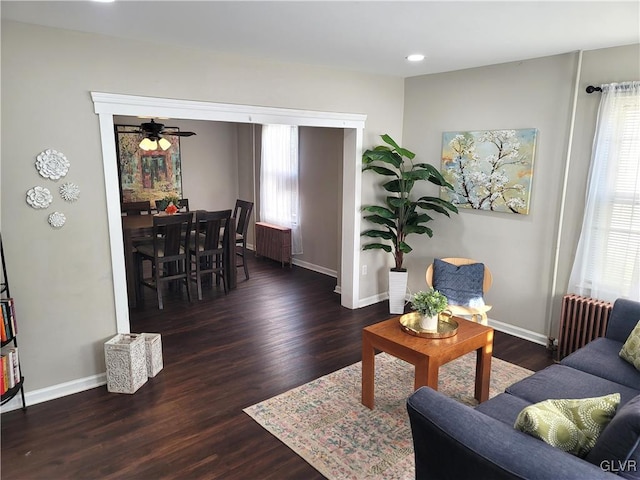 living room with radiator heating unit, dark hardwood / wood-style flooring, and ceiling fan