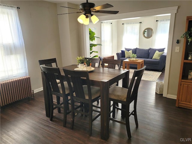 dining space featuring ceiling fan, dark hardwood / wood-style flooring, and radiator heating unit