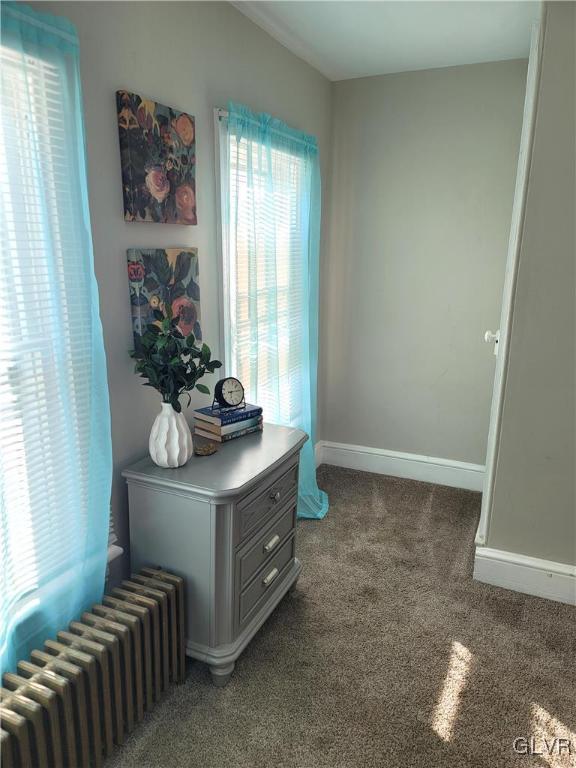 interior space featuring radiator heating unit and carpet