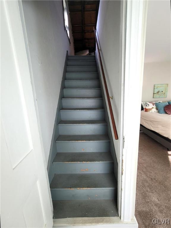 stairs featuring carpet floors