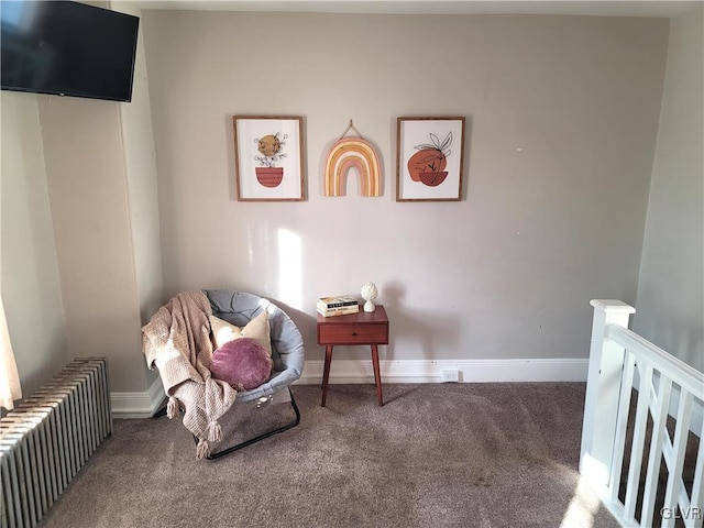 living area with carpet flooring and radiator