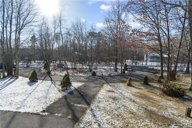 view of yard covered in snow