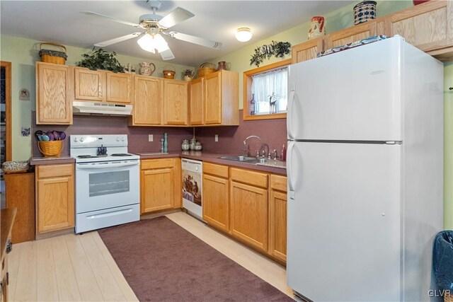 kitchen featuring white appliances, under cabinet range hood, a sink, a ceiling fan, and light brown cabinetry