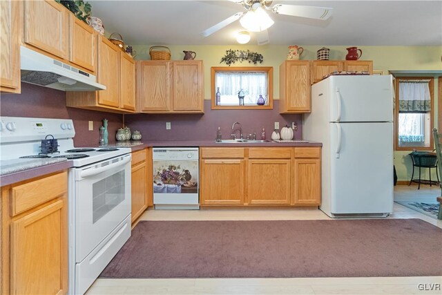 kitchen featuring white appliances, under cabinet range hood, a sink, ceiling fan, and light brown cabinetry